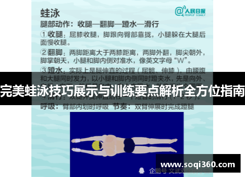 完美蛙泳技巧展示与训练要点解析全方位指南