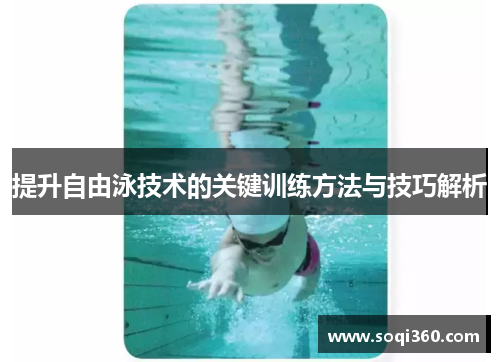提升自由泳技术的关键训练方法与技巧解析