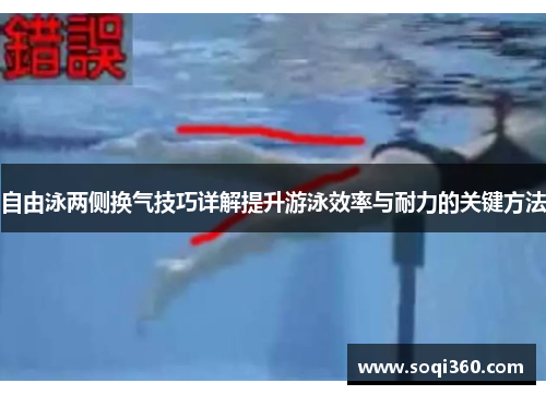 自由泳两侧换气技巧详解提升游泳效率与耐力的关键方法