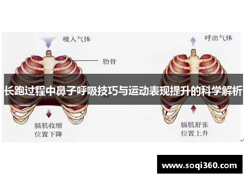 长跑过程中鼻子呼吸技巧与运动表现提升的科学解析