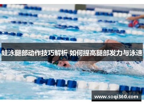 蛙泳腿部动作技巧解析 如何提高腿部发力与泳速