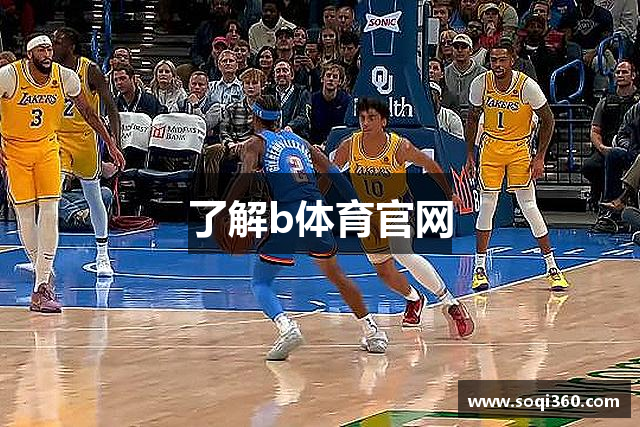 了解b体育官网